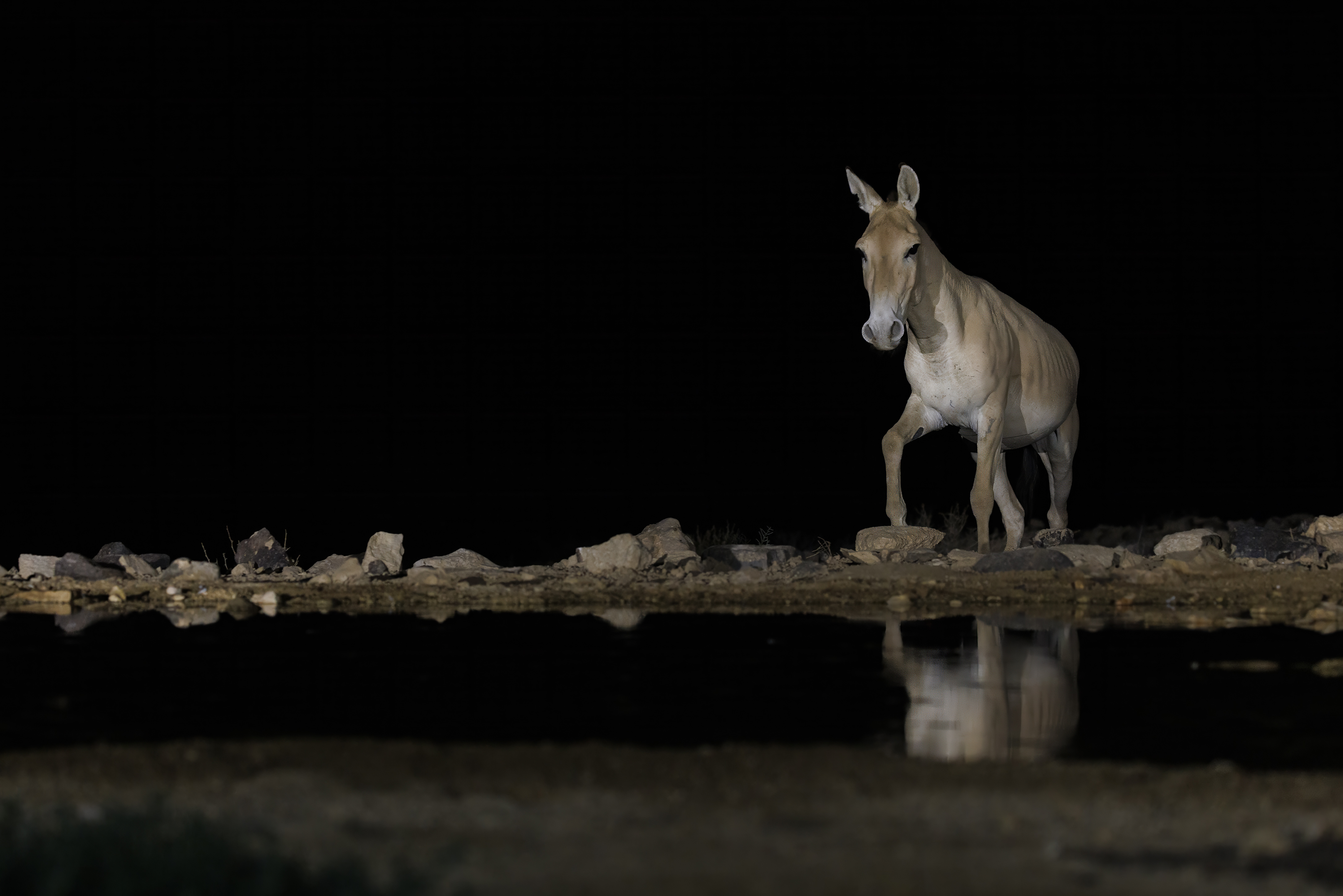 20220819-August 19, 2022-203012-5-203012-Edit.jpg